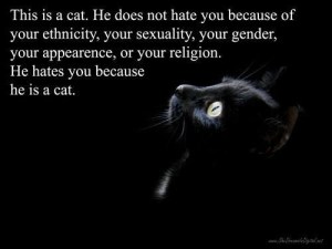 Writers are a lot like cats, they just hate people, especially their characters